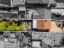 property Thumbnails}