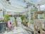 property Thumbnails}