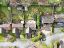 property Thumbnails}