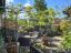 property Thumbnails}