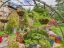 property Thumbnails}