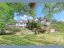 property Thumbnails}