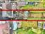 property Thumbnails}