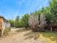 property Thumbnails}
