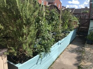 property Raw Images}