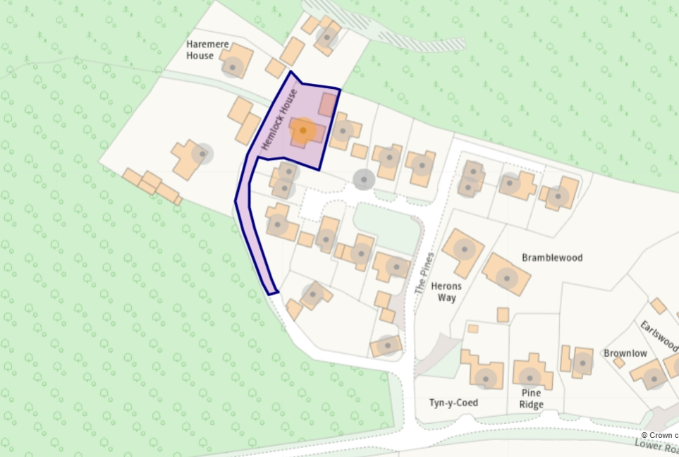 property Raw Images}