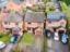 property Thumbnails}
