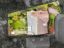 property Thumbnails}
