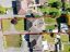 property Thumbnails}