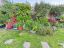 property Thumbnails}