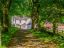 property Thumbnails}