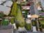 property Thumbnails}