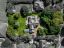 property Thumbnails}