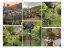 property Thumbnails}