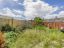 property Thumbnails}