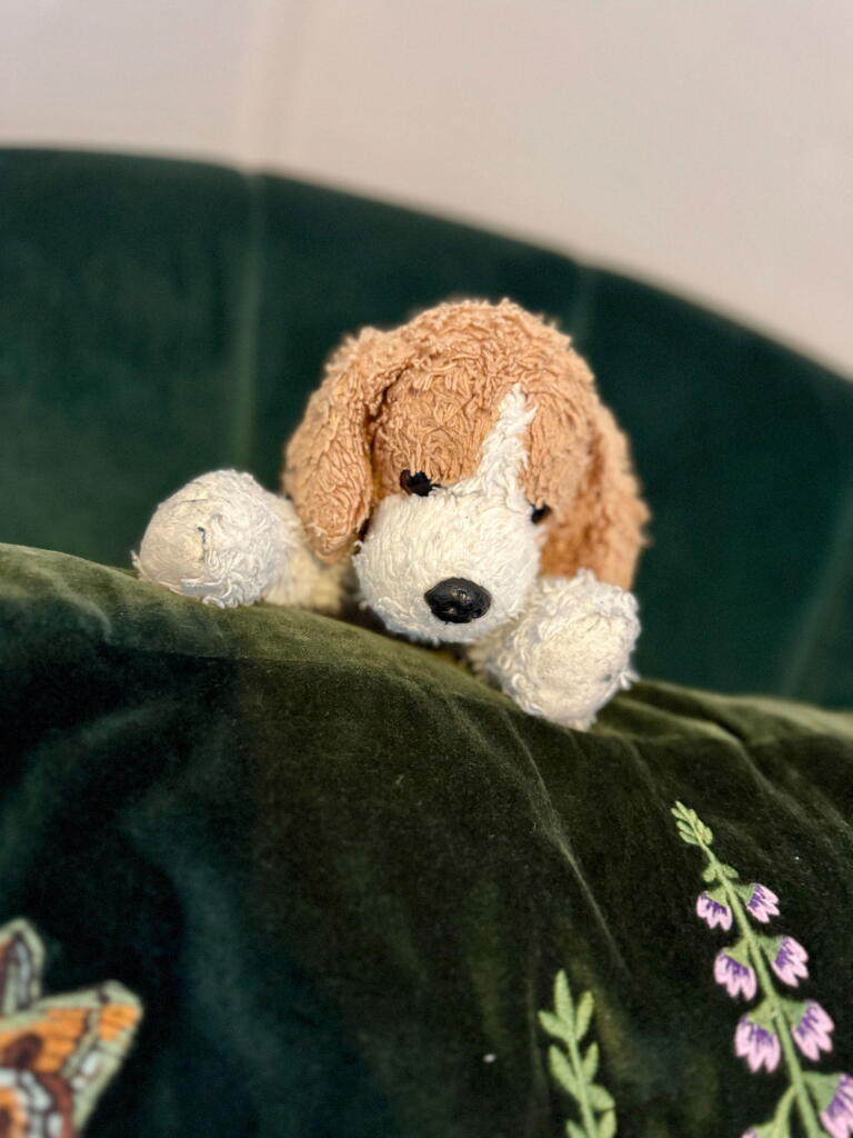 property Raw Images}