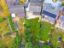 property Thumbnails}