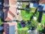 property Thumbnails}