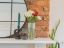 property Thumbnails}