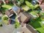property Thumbnails}