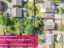 property Thumbnails}