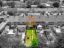 property Thumbnails}